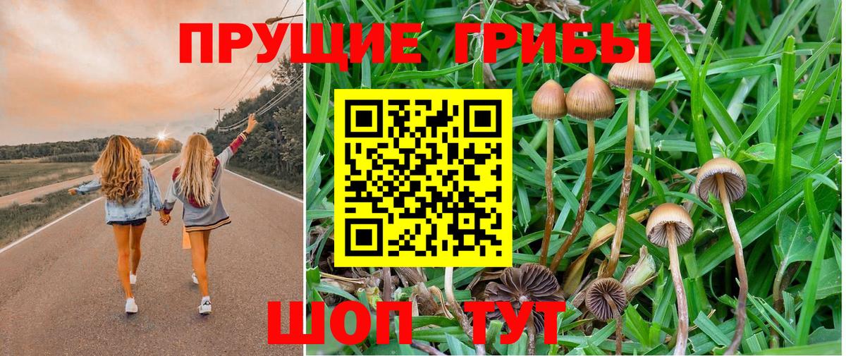 Псилоцибиновые грибы прущие грибы  Вход с VPN  Озёрск  наркотики  Псилоцибиновые грибы Cubensis 